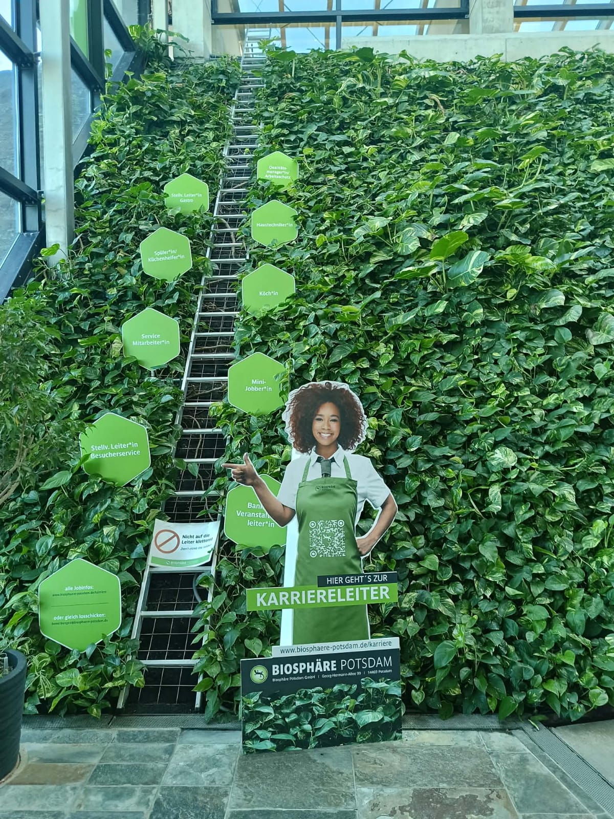 Poczdam - trochę biologii, trochę historii i trochę Świąt